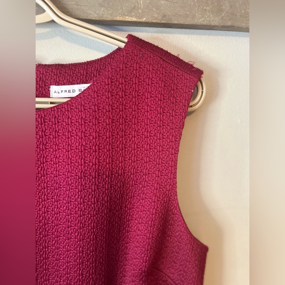 ✌️4/$20✌️ Alfred sung shift dress - Picture 2 of 10